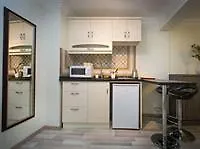 Vintage House Taksim 公寓 伊斯坦布尔